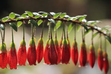 珠海私人快速借钱网，轻松解决资金难题