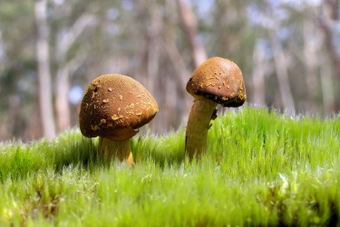 珠海私人老板放款：轻松融资的秘密通道